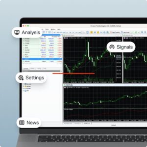 Exness Review